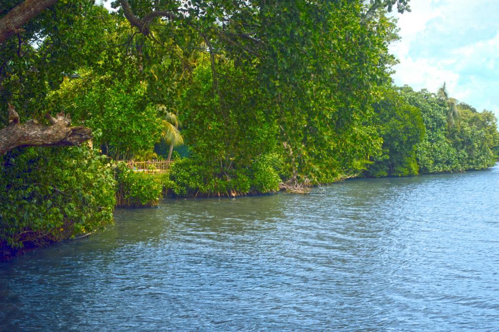 Lumbini Lagoon Koggala Phòng bức ảnh