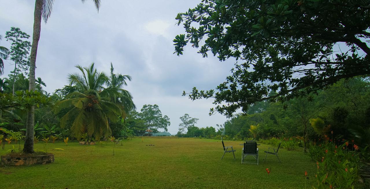 Lumbini Lagoon Koggala Ngoại thất bức ảnh