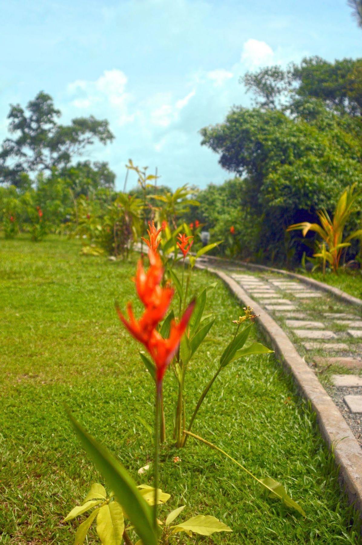 Lumbini Lagoon Koggala Ngoại thất bức ảnh